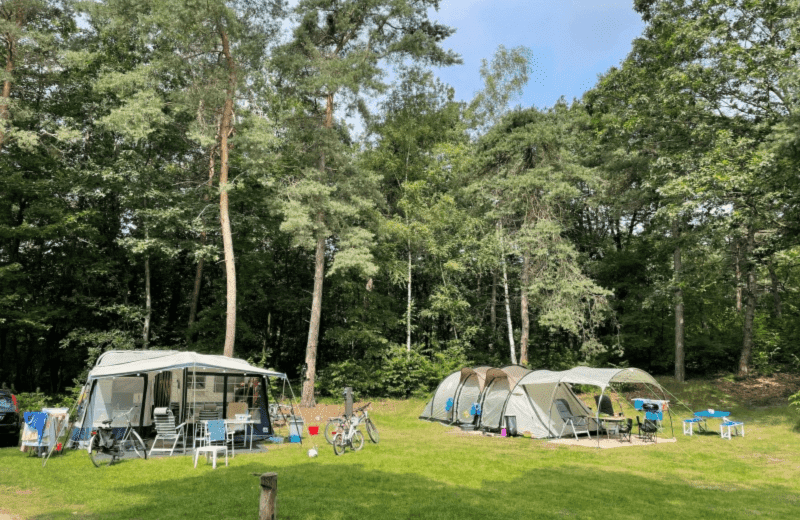 Camping in der Veluwe
